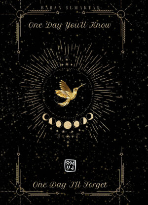 One Day You'll Know - One Day I'll Forget - Baran Sumaktaş