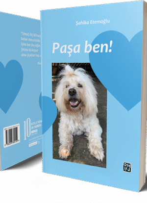 Paşa Ben! - Şahika Etemoğlu