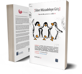 Siber Mücadeleye Giriş - Kurgan